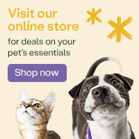 Web Ready-Practice Toolkit square banner - dog and cat