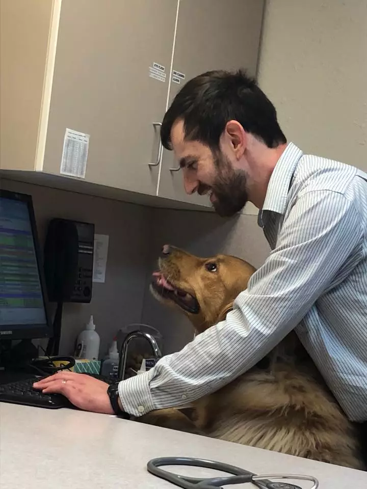 Pet Wellness Care in Shrewsbury: Veterinarian Looks at Computer With Dog