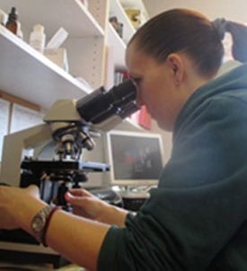 Pet Diagnostics in Shrewsbury: Vet Looks Through Microscope